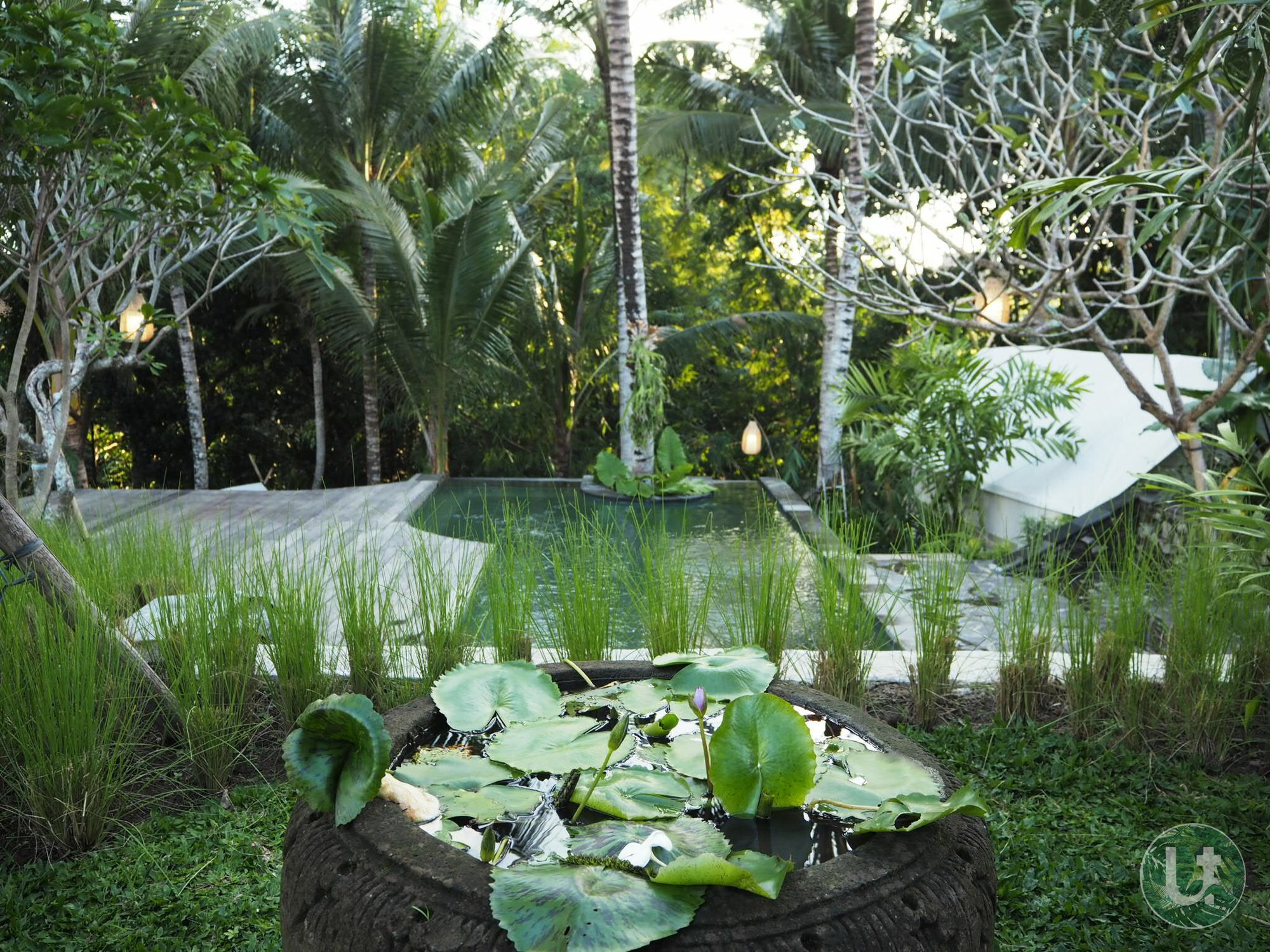 Ubud Tropical Екстериор снимка