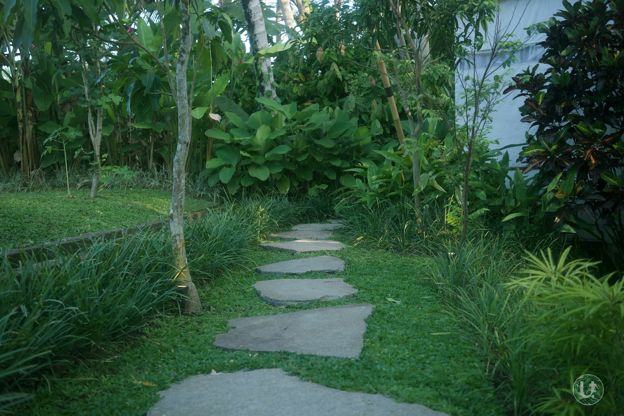 Ubud Tropical Екстериор снимка