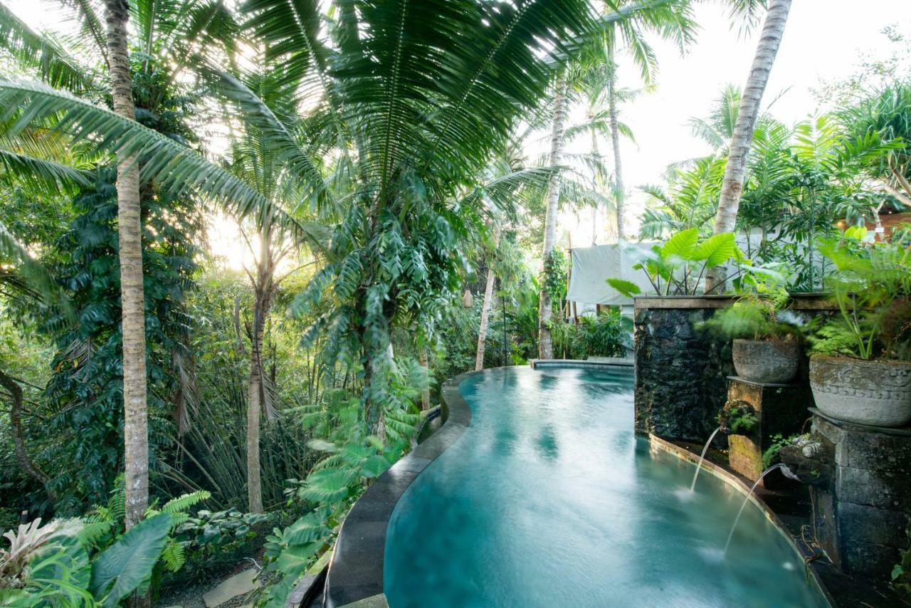 Ubud Tropical Екстериор снимка